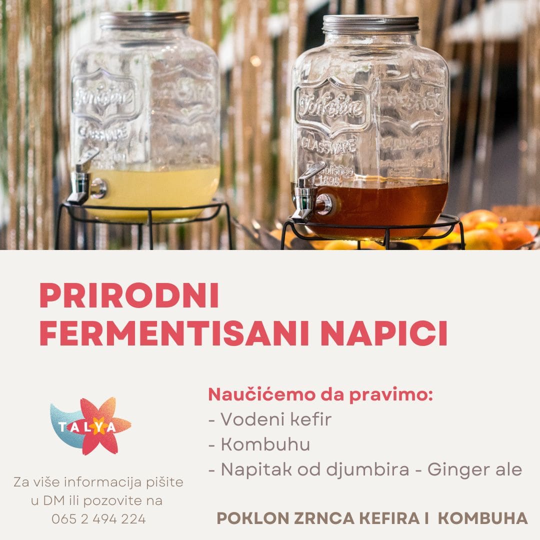 Prirodni fermentisani napici